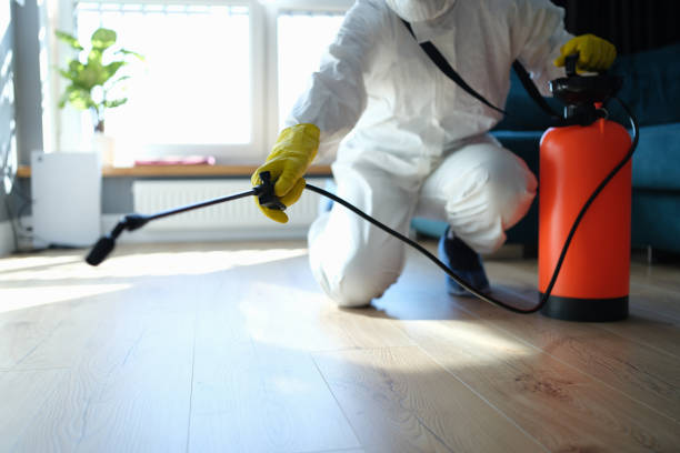Reliable Odor Removal contractor in Raymond, CA by Trauma Clean Pros